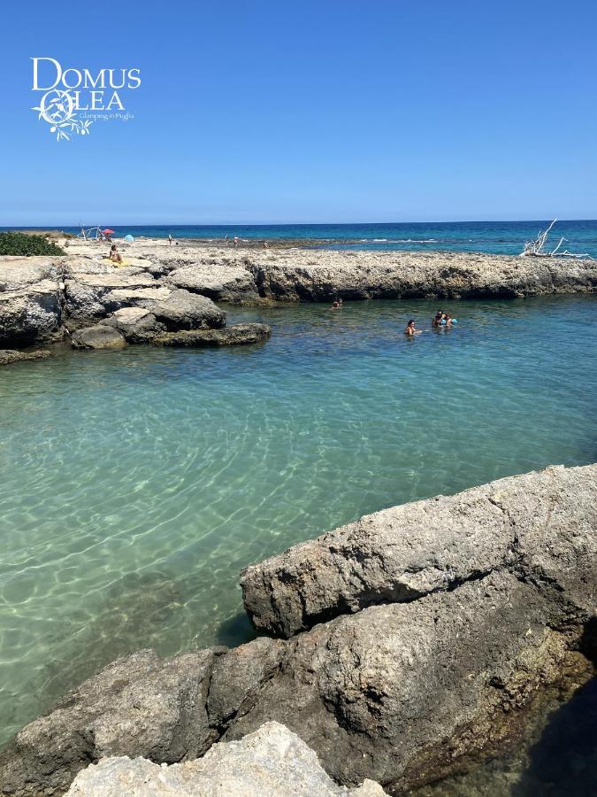 فندق Domus Olea Glamping سيغلي ميسابيكا المظهر الخارجي الصورة