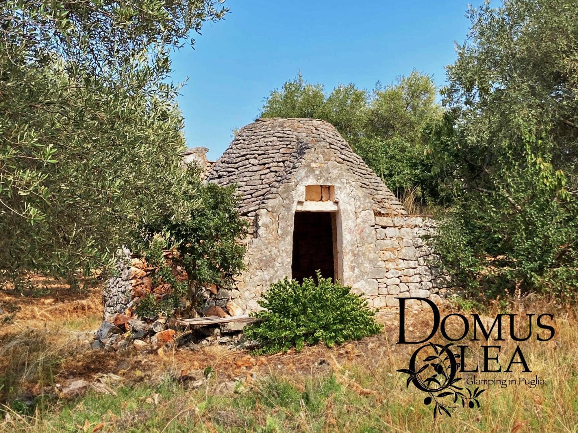 فندق Domus Olea Glamping سيغلي ميسابيكا المظهر الخارجي الصورة