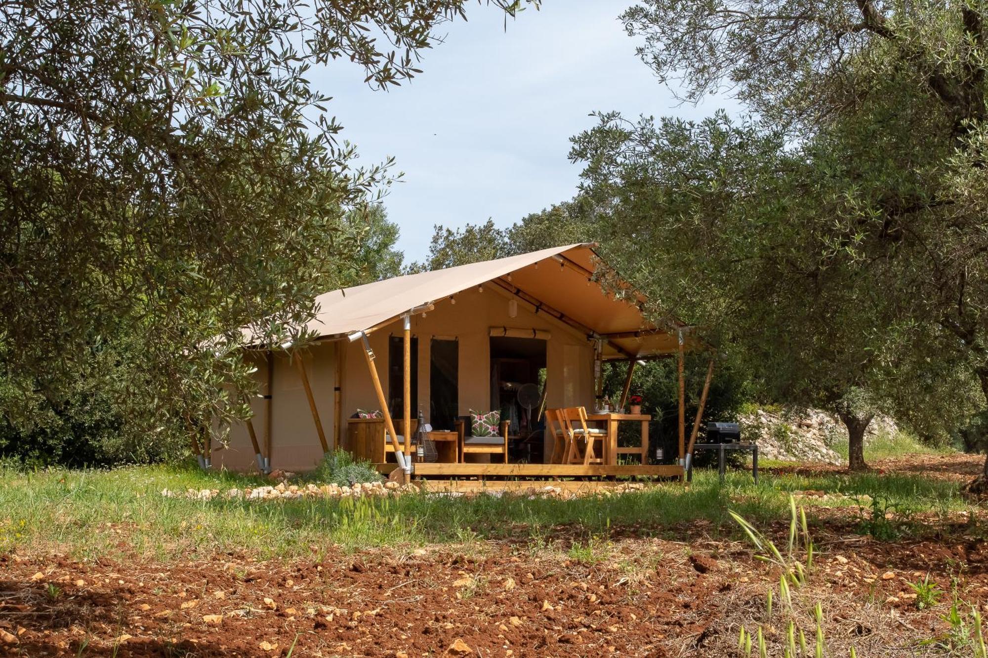 فندق Domus Olea Glamping سيغلي ميسابيكا المظهر الخارجي الصورة