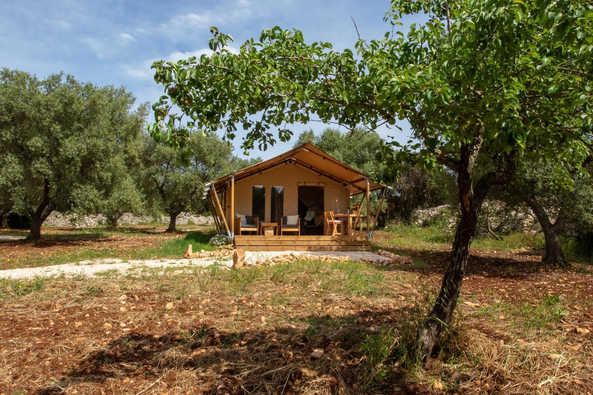 فندق Domus Olea Glamping سيغلي ميسابيكا المظهر الخارجي الصورة